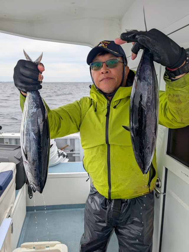 ホンガツオ(カツオ)