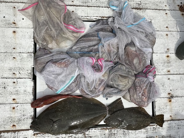 ワカシ(ブリ)・ホウボウ・ヒラメ・マダコ