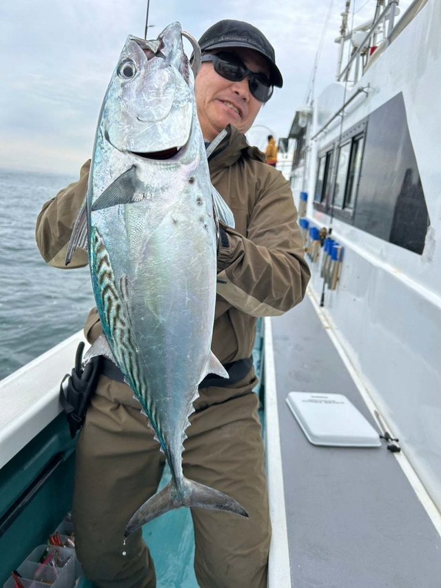 スマガツオ(スマ)