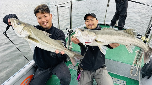 シーバス(スズキ)