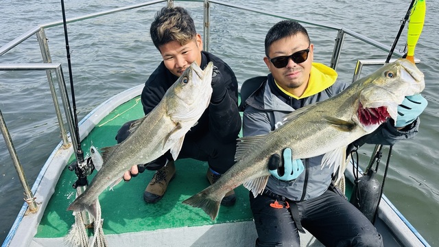 シーバス(スズキ)