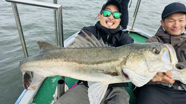 シーバス(スズキ)