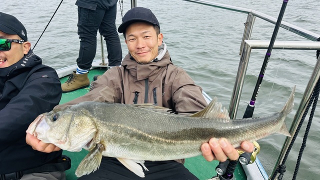 シーバス(スズキ)