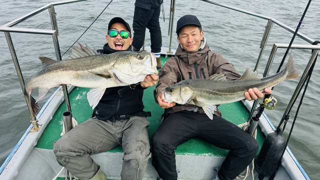 シーバス(スズキ)