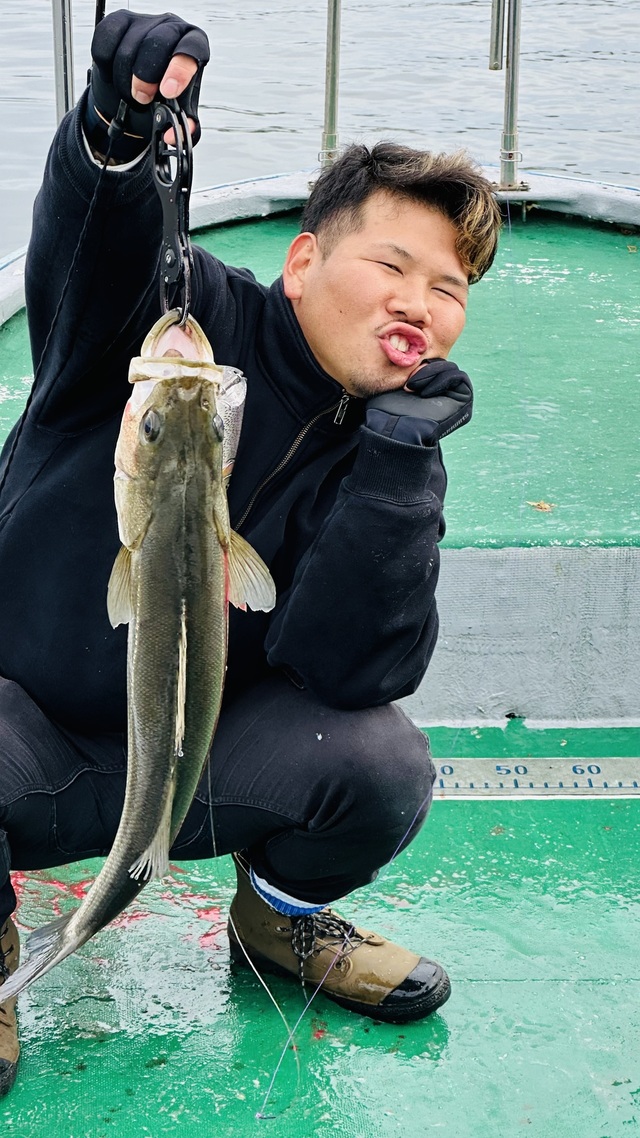 シーバス(スズキ)