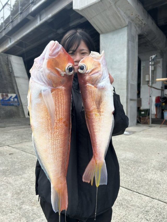 アマダイ(アカアマダイ)