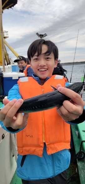 ソーダガツオ(マルソウダ)