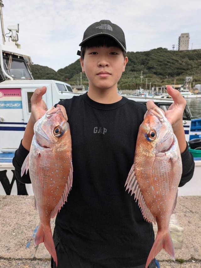 ハナダイ(チダイ)