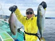 イナダ(ブリ)・カンパチ