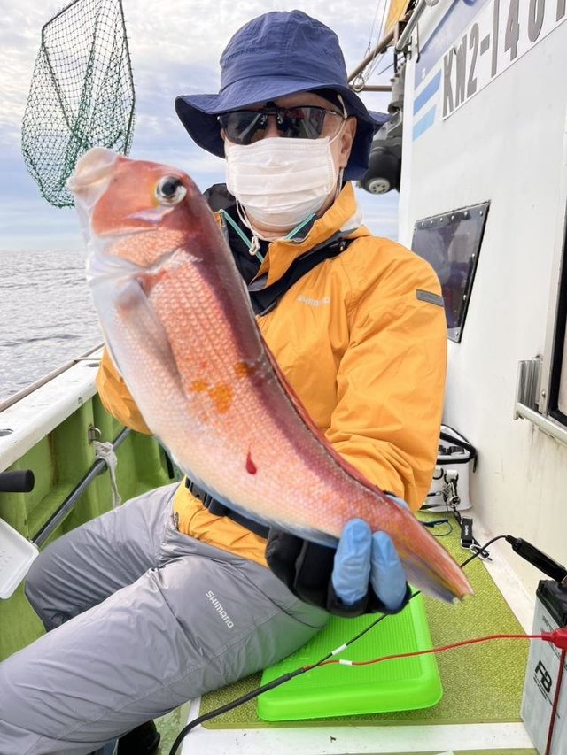 アマダイ(アカアマダイ)