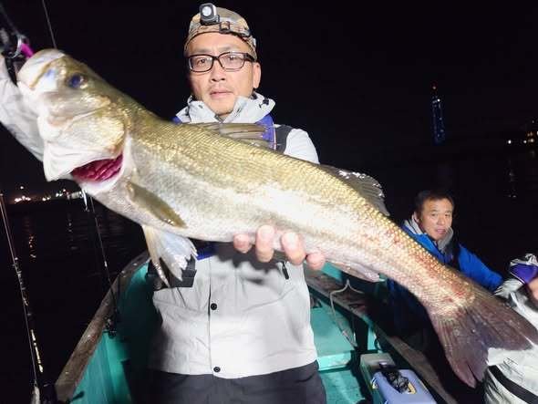 シーバス(スズキ)