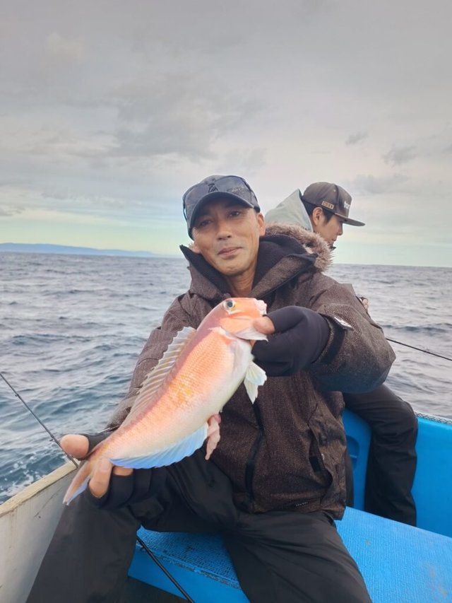 アマダイ(アカアマダイ)