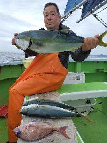 マダイ・イナダ(ブリ)・ワラサ(ブリ)