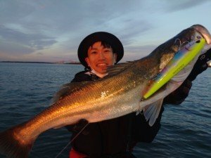 シーバス(スズキ)