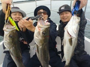 シーバス(スズキ)