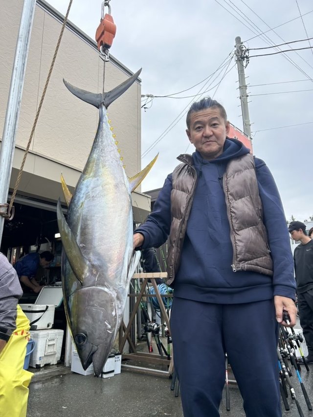 キメジ(キハダ)