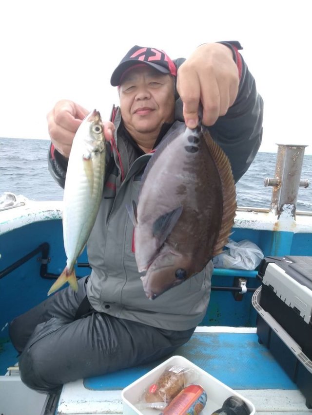 アジ(マアジ)・ニザダイ