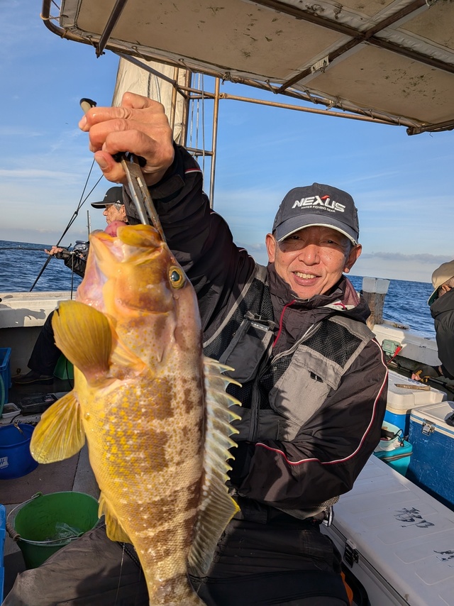 アオナ(アオハタ)