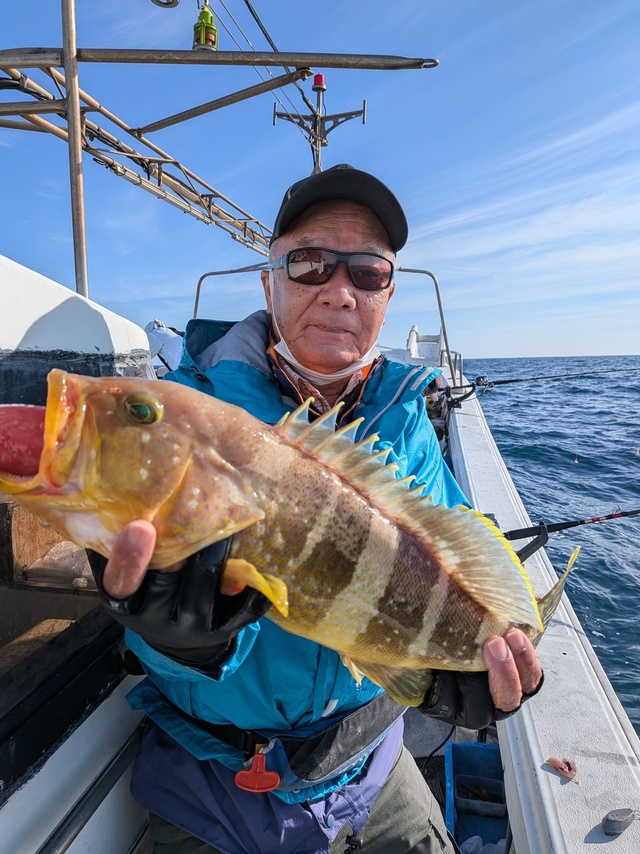 アオナ(アオハタ)