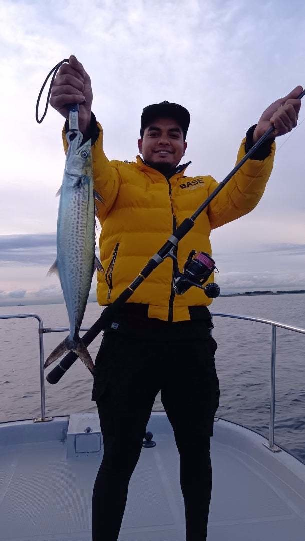 サゴシ(サワラ)