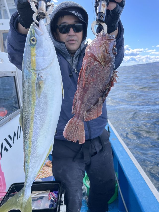 イナダ(ブリ)・カサゴ