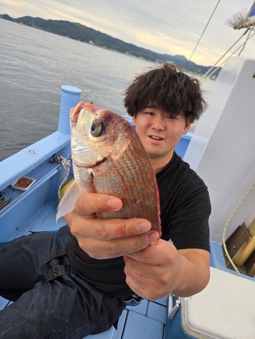 ハナダイ(チダイ)