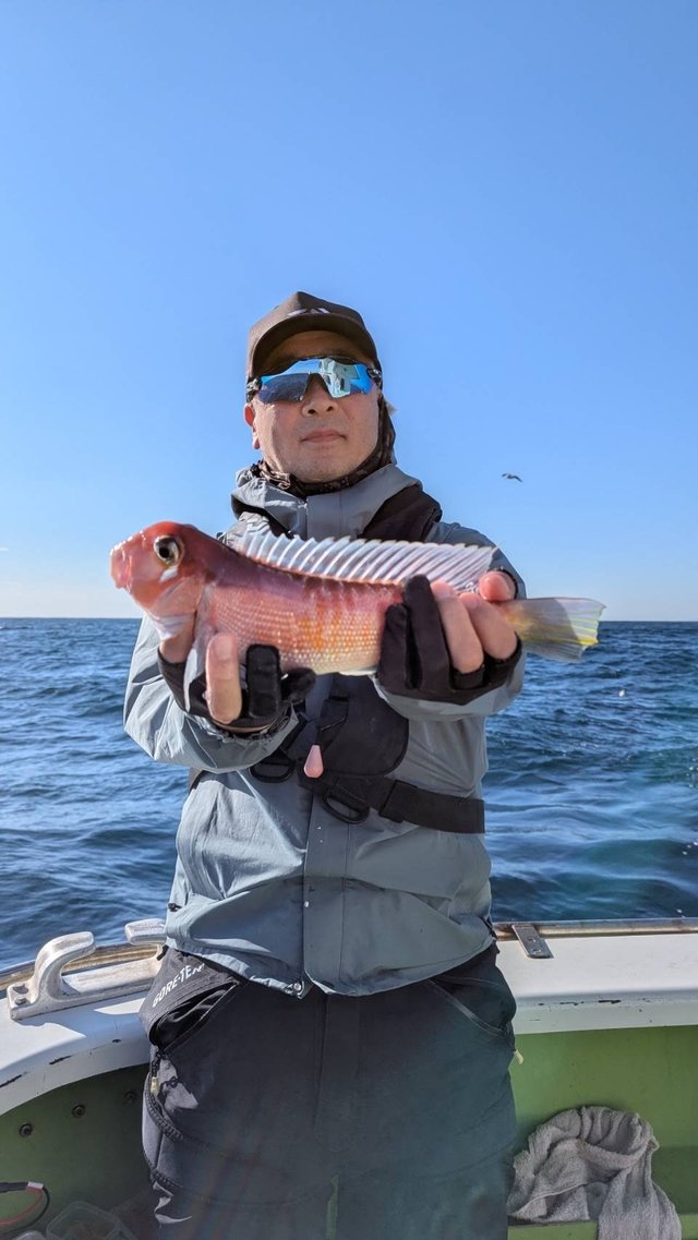 アマダイ(アカアマダイ)