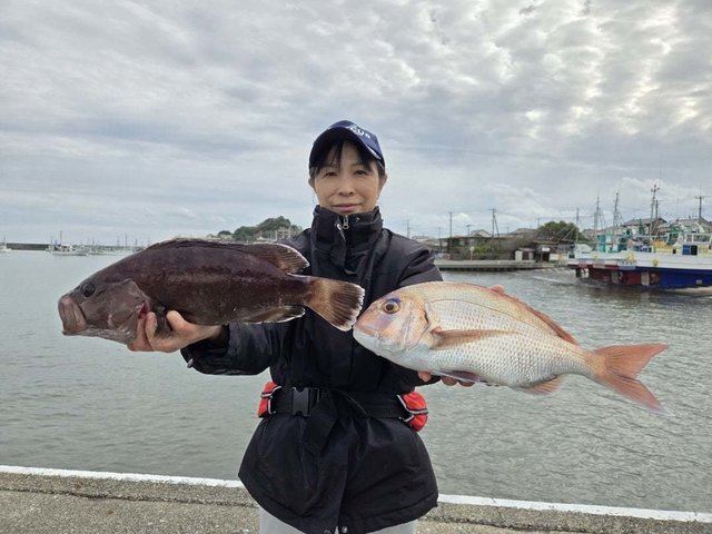 マダイ・ハタ(マハタ)