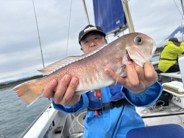 アマダイ(アカアマダイ)