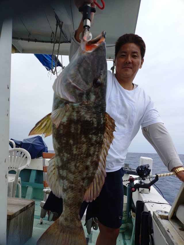 フエフキ(ハマフエフキ)