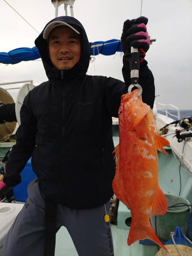 アカジン(スジアラ)