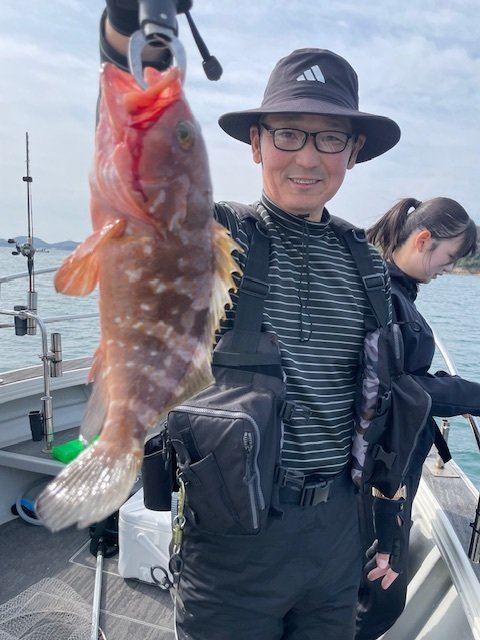 アコウ(キジハタ)