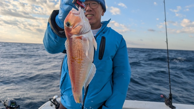 アマダイ(アカアマダイ)