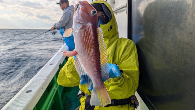 アマダイ(アカアマダイ)