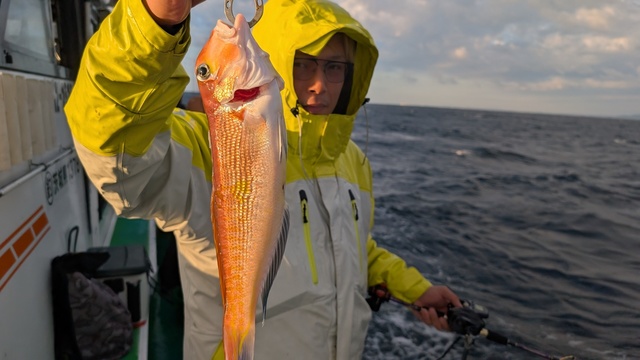 アマダイ(アカアマダイ)