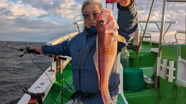 アマダイ(アカアマダイ)