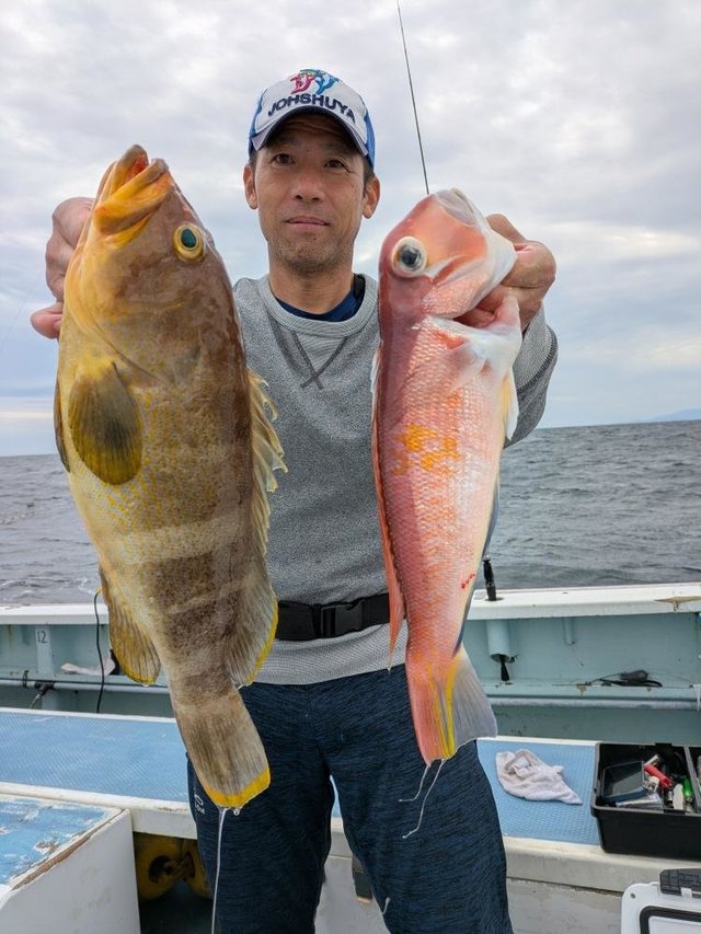 アマダイ(アカアマダイ)