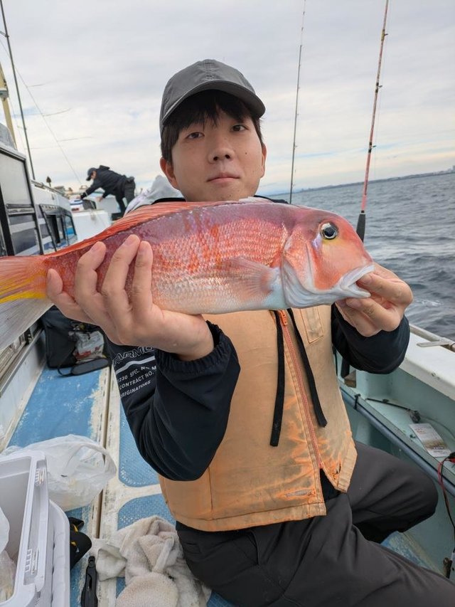 アマダイ(アカアマダイ)