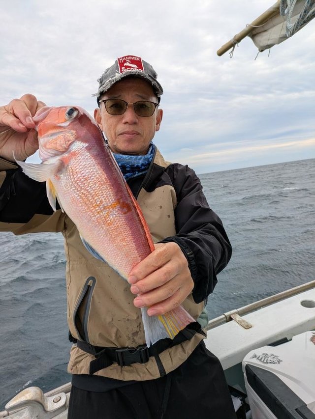 アマダイ(アカアマダイ)