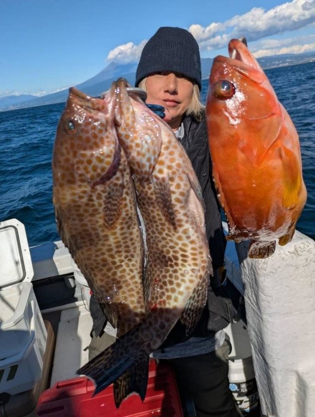 アカハタ・オオモンハタ