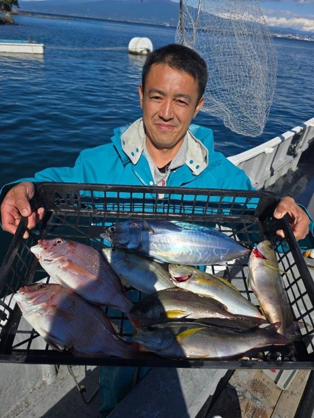 マダイ・イナダ(ブリ)・イサキ・ホンガツオ(カツオ)