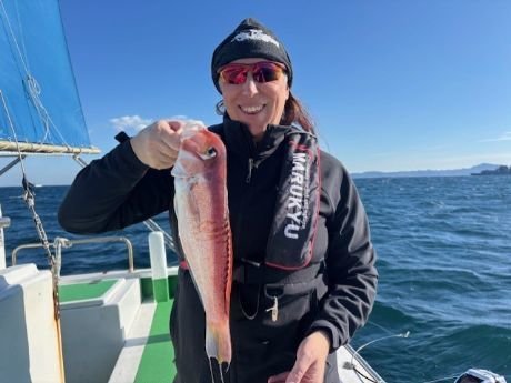 アマダイ(アカアマダイ)