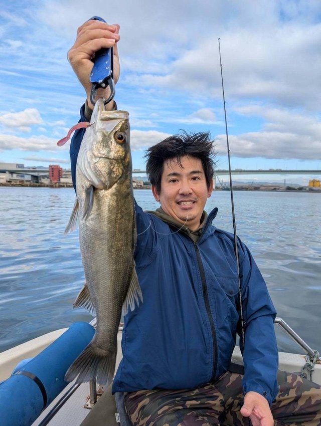 シーバス(スズキ)