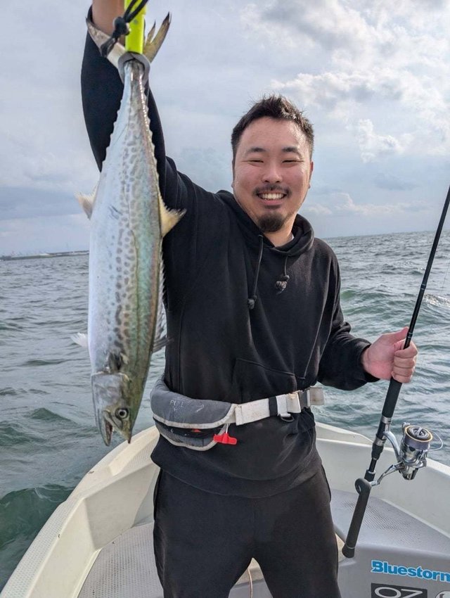 サゴシ(サワラ)