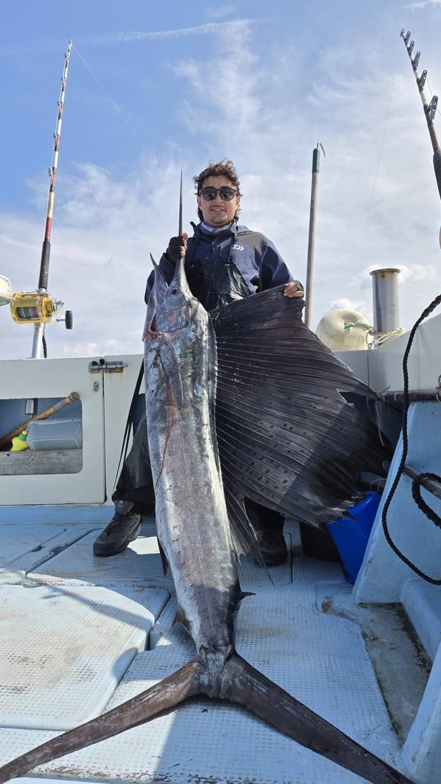 バショウカジキ