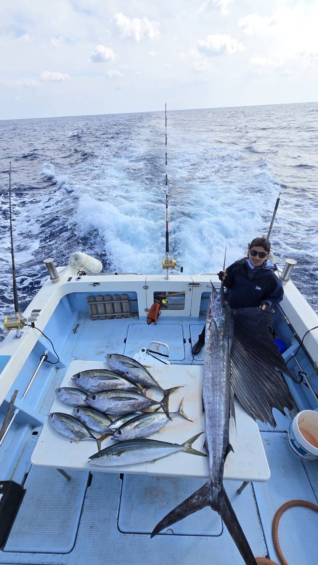 キハダ・バショウカジキ