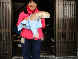 アマダイ(アカアマダイ)