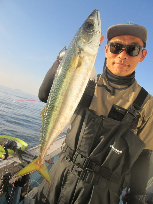 サバ(ゴマサバ)