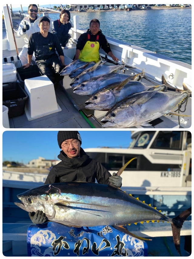 キハダマグロ(キハダ)