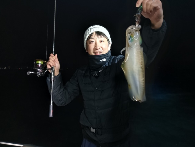 アオリイカ